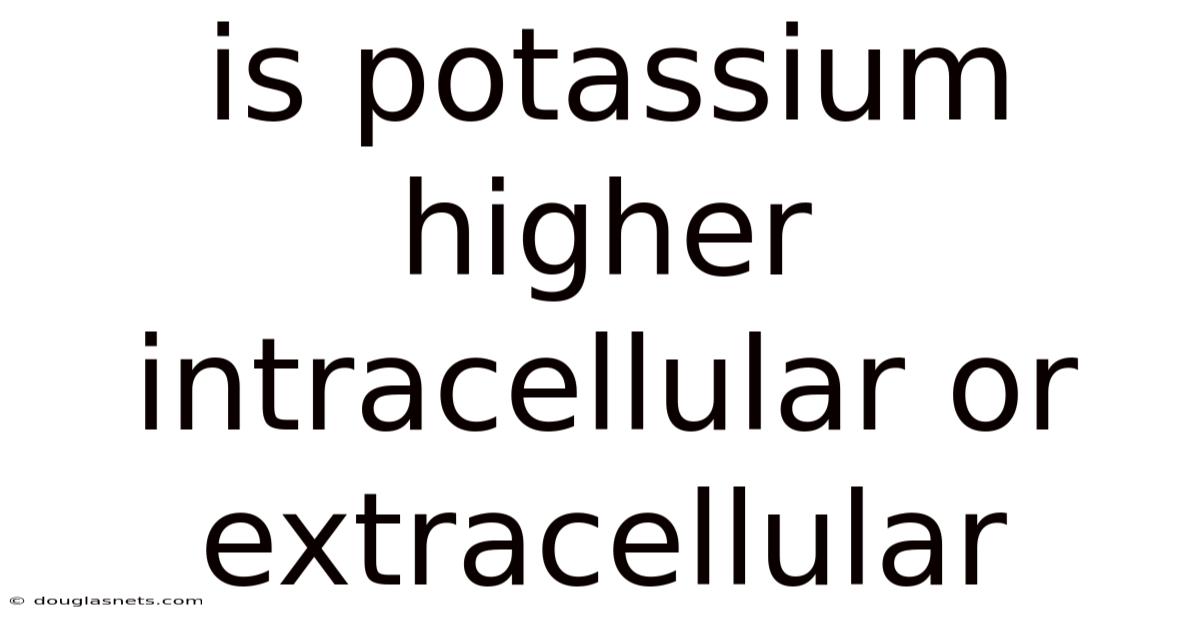 Is Potassium Higher Intracellular Or Extracellular