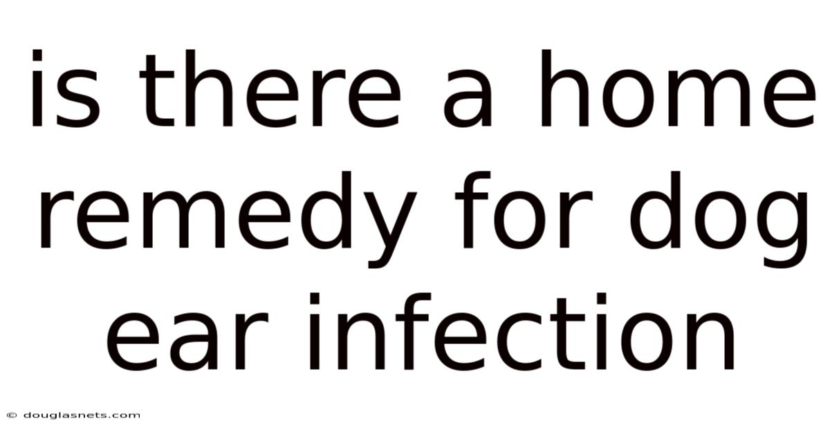 Is There A Home Remedy For Dog Ear Infection