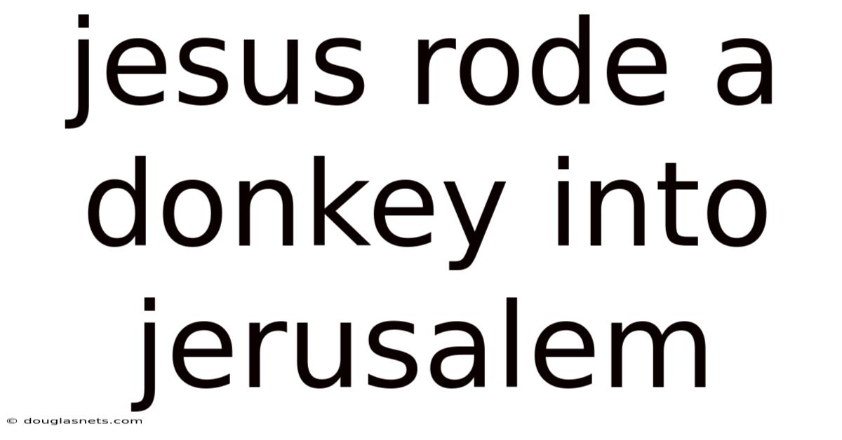 Jesus Rode A Donkey Into Jerusalem