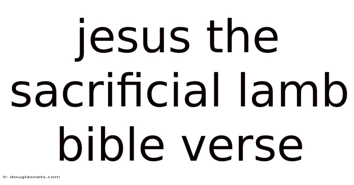 Jesus The Sacrificial Lamb Bible Verse