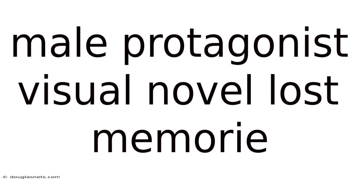Male Protagonist Visual Novel Lost Memorie