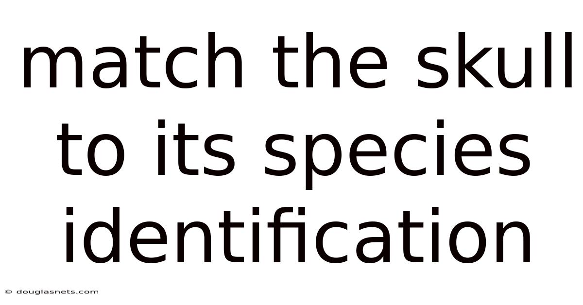 Match The Skull To Its Species Identification