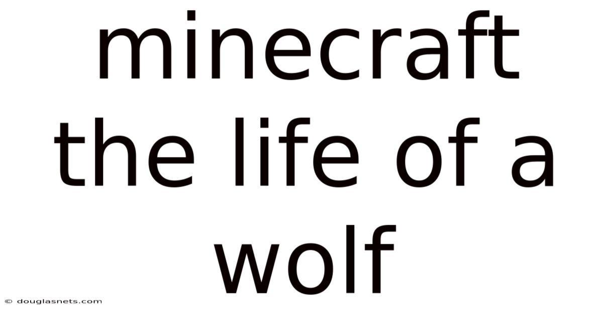 Minecraft The Life Of A Wolf