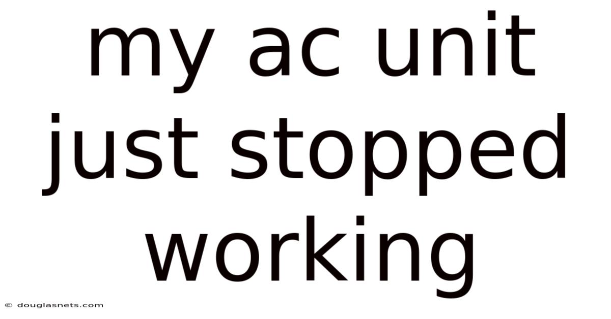 My Ac Unit Just Stopped Working