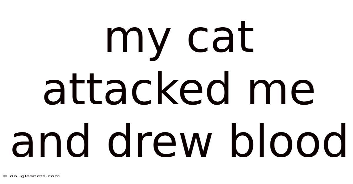 My Cat Attacked Me And Drew Blood
