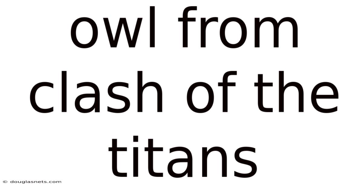 Owl From Clash Of The Titans