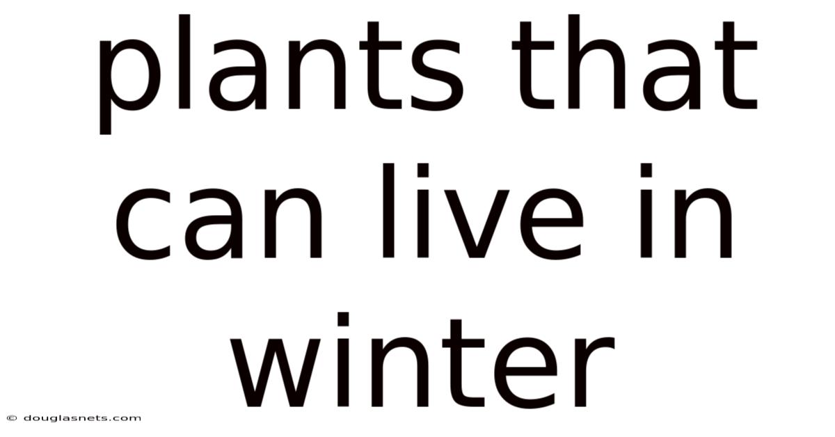 Plants That Can Live In Winter