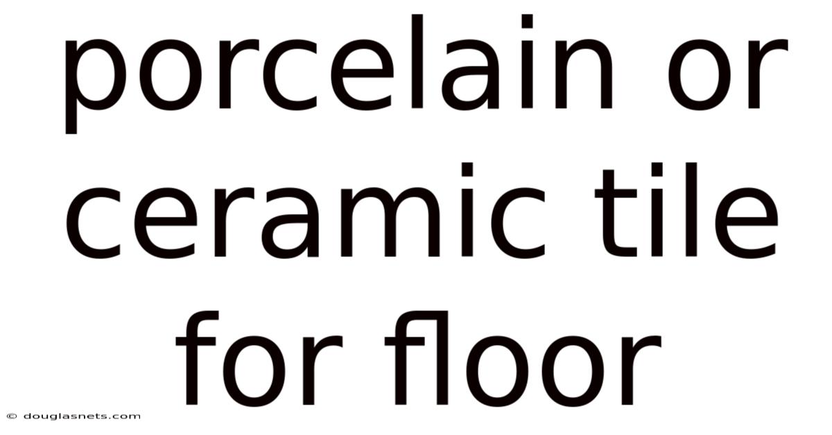 Porcelain Or Ceramic Tile For Floor