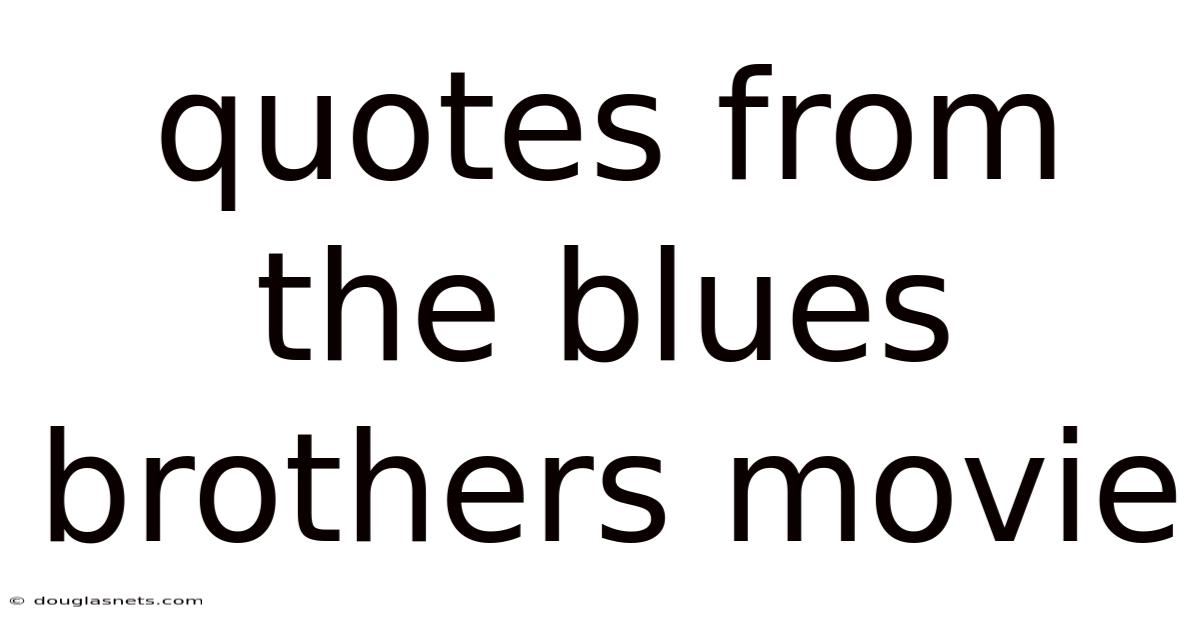 Quotes From The Blues Brothers Movie