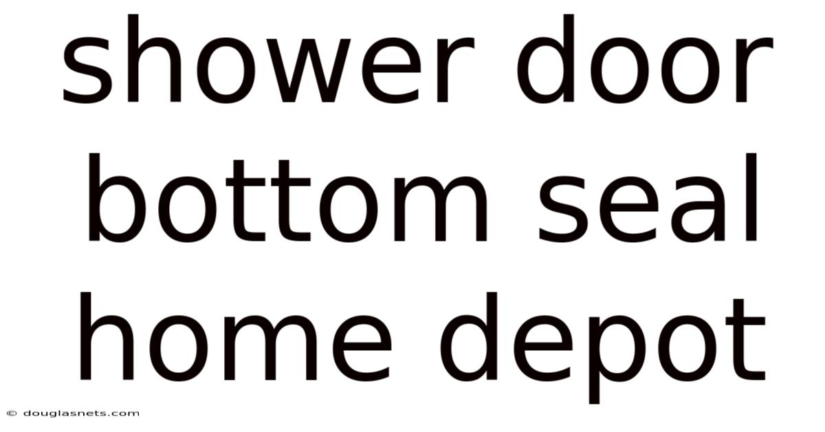 Shower Door Bottom Seal Home Depot