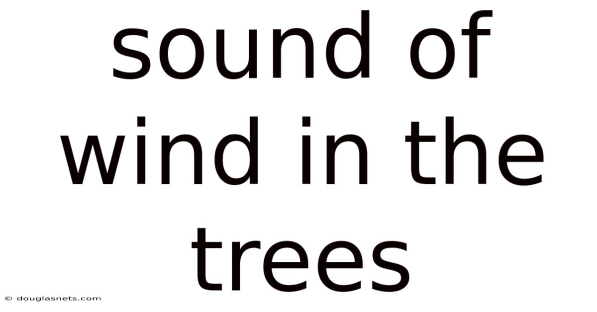 Sound Of Wind In The Trees