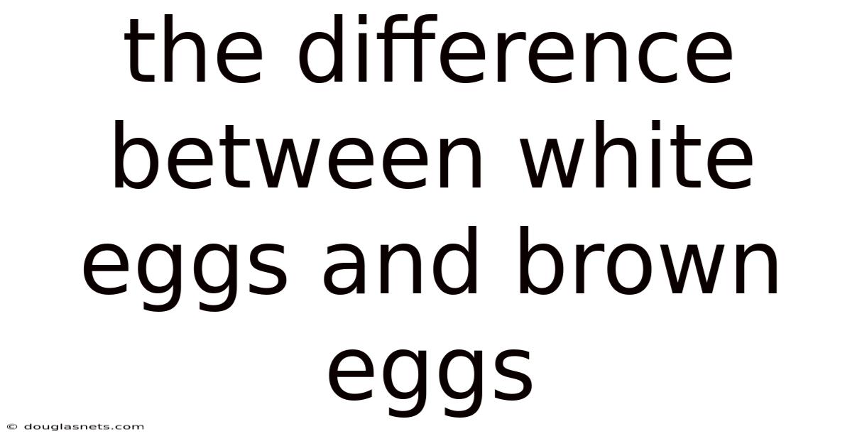 The Difference Between White Eggs And Brown Eggs