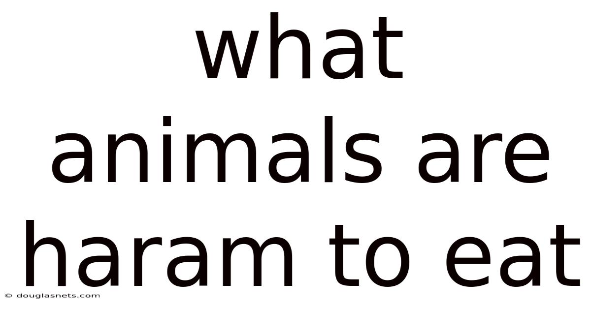 What Animals Are Haram To Eat