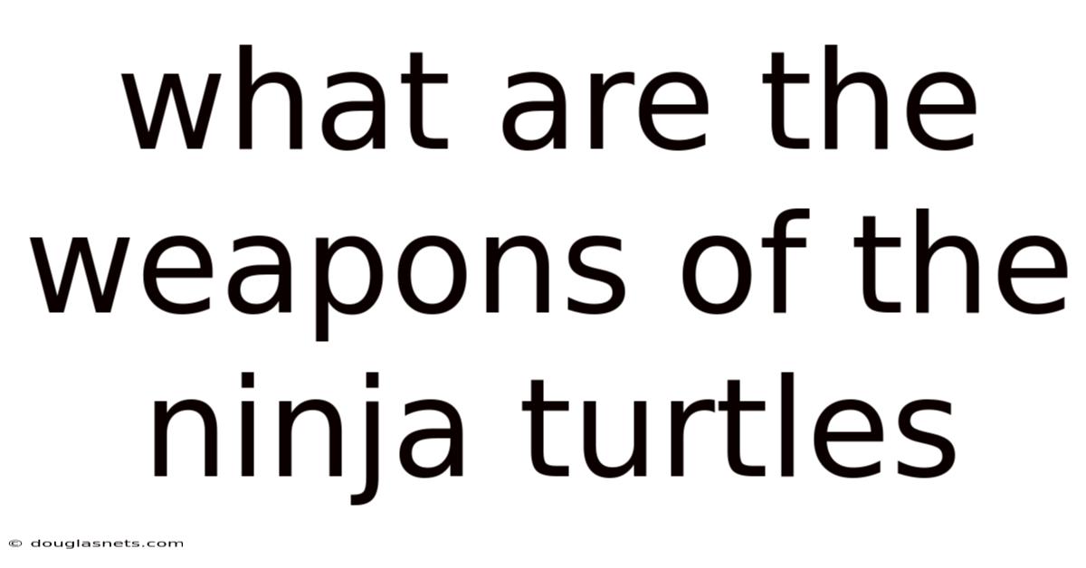 What Are The Weapons Of The Ninja Turtles