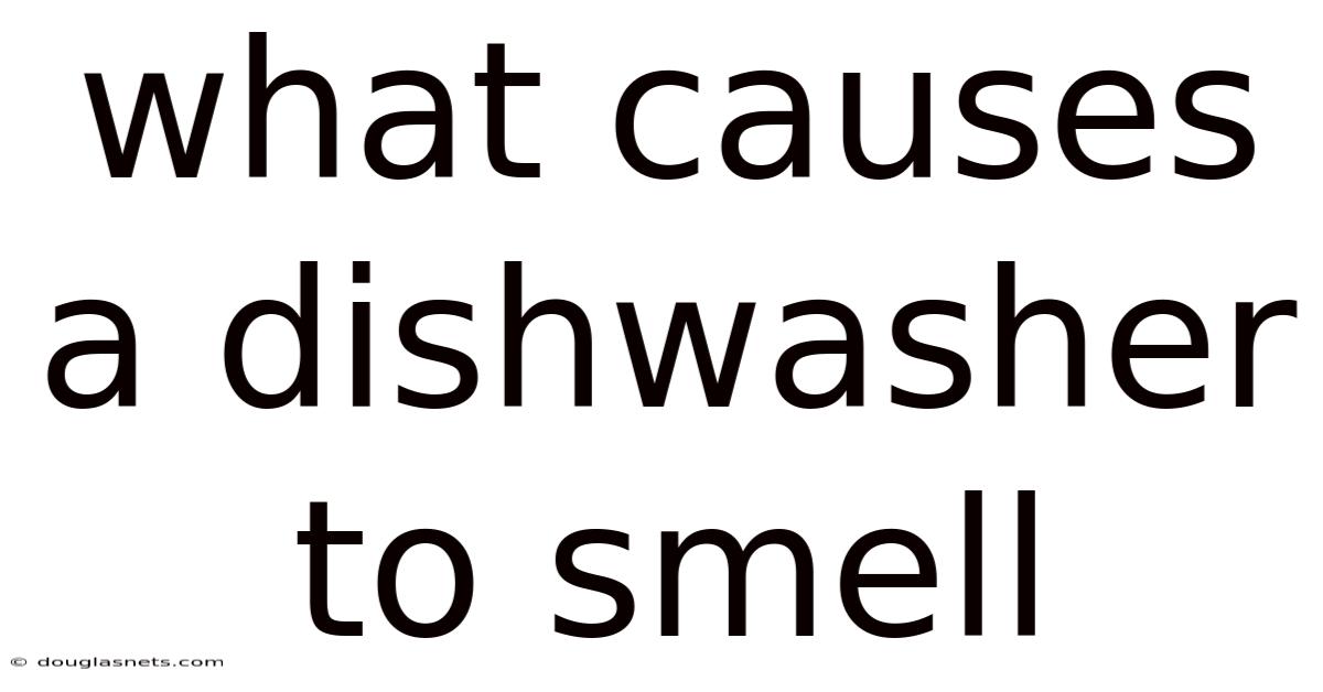 What Causes A Dishwasher To Smell