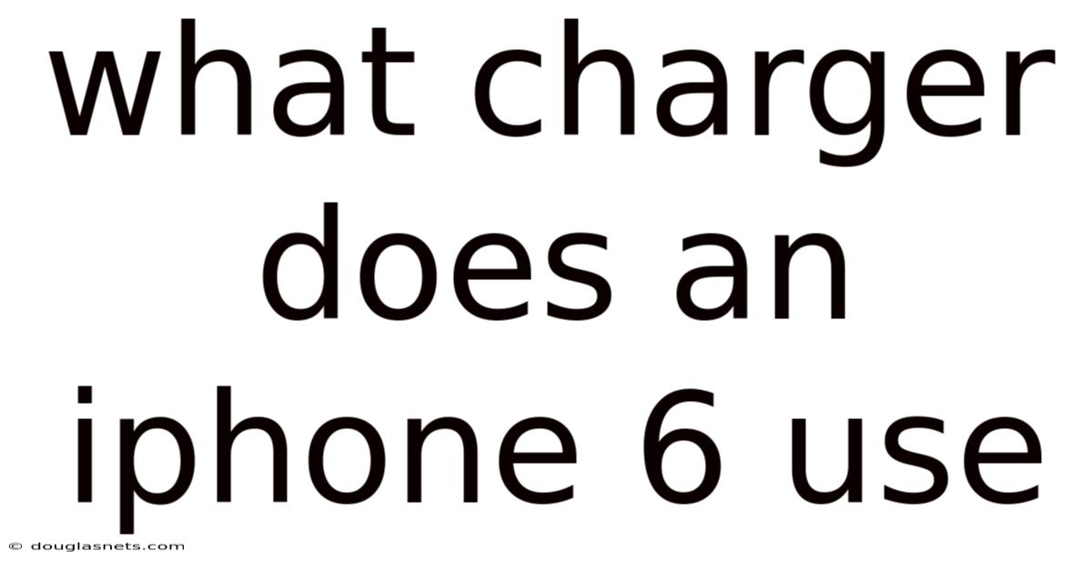 What Charger Does An Iphone 6 Use