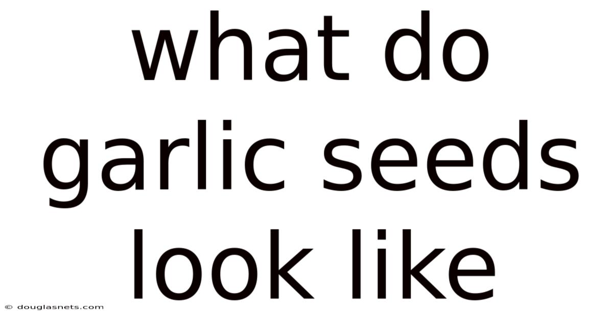 What Do Garlic Seeds Look Like