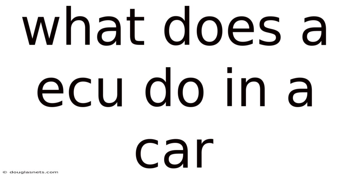 What Does A Ecu Do In A Car