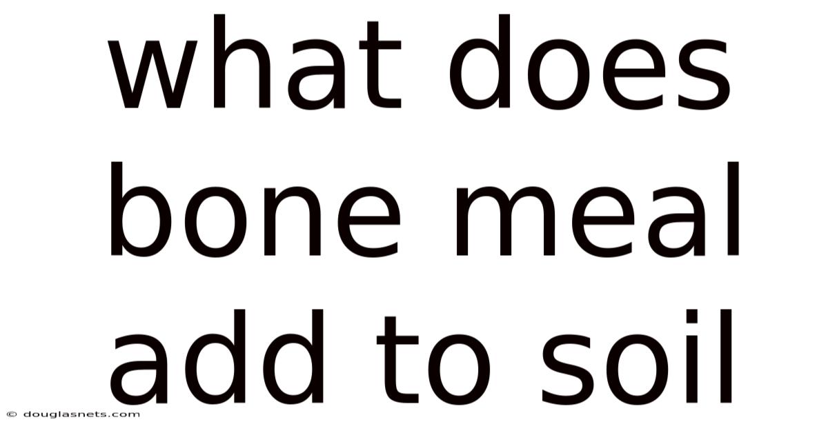 What Does Bone Meal Add To Soil