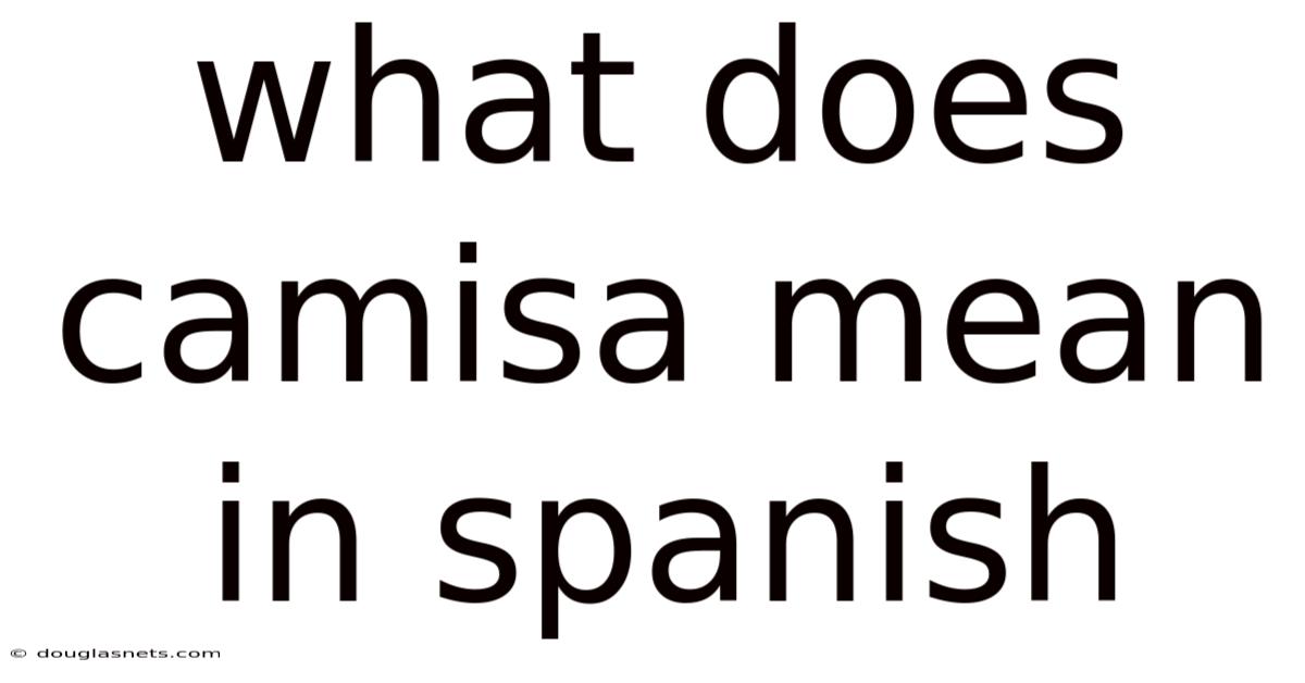 What Does Camisa Mean In Spanish