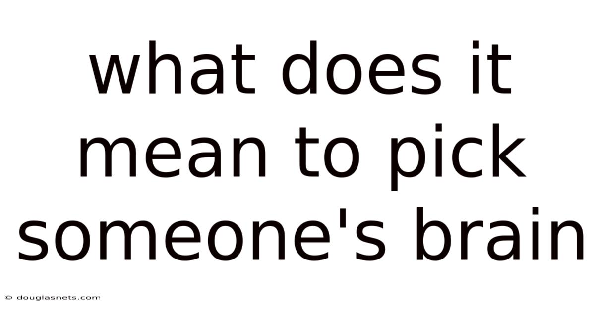 What Does It Mean To Pick Someone's Brain