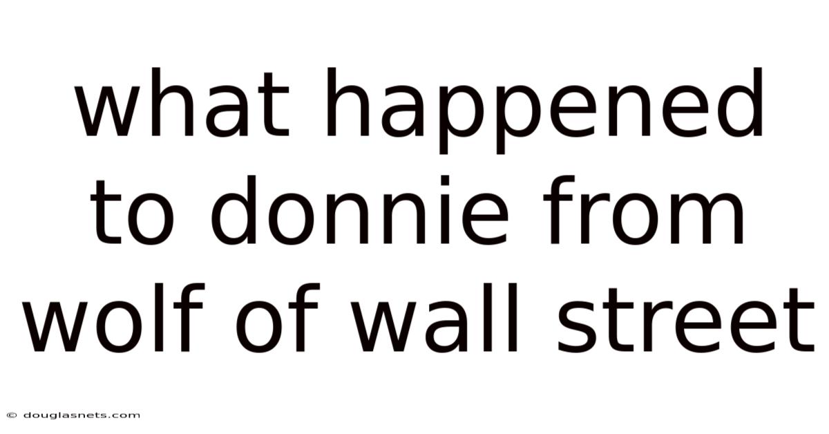 What Happened To Donnie From Wolf Of Wall Street