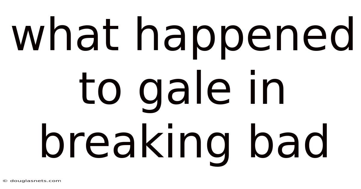 What Happened To Gale In Breaking Bad