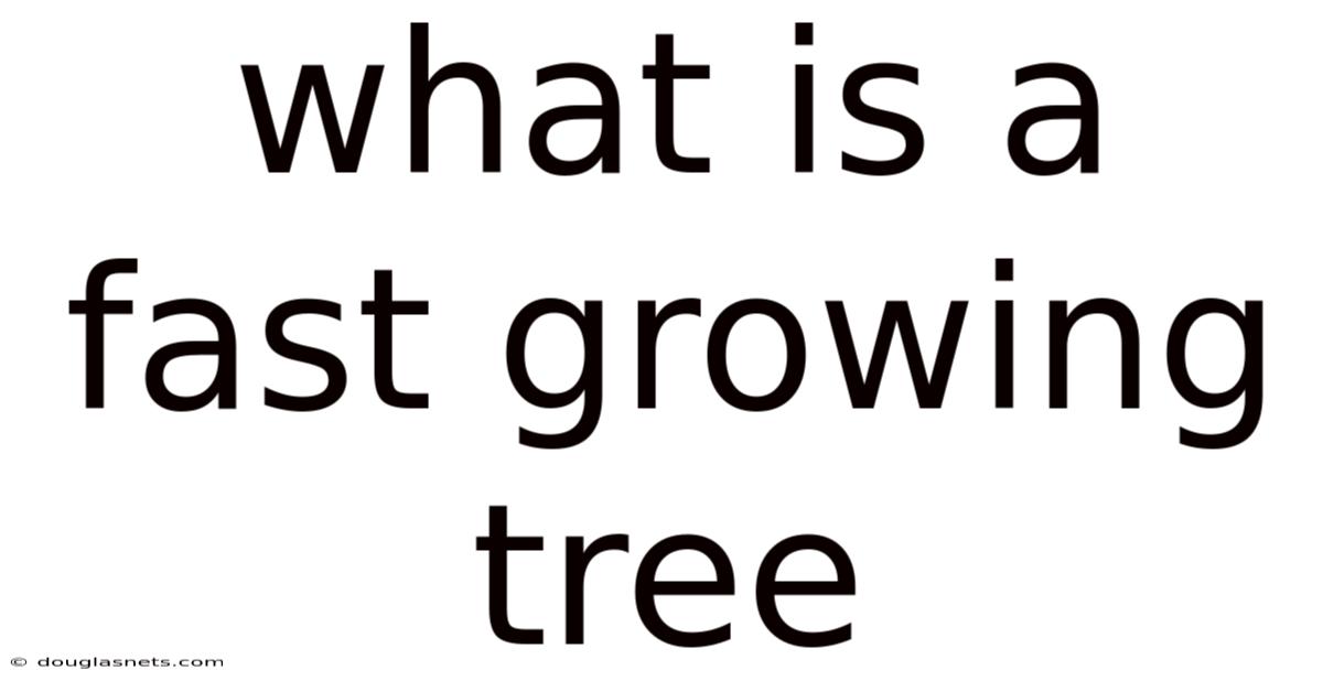 What Is A Fast Growing Tree