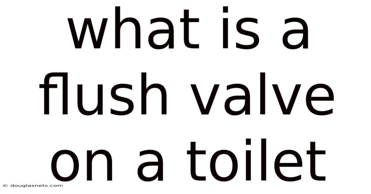 What Is A Flush Valve On A Toilet