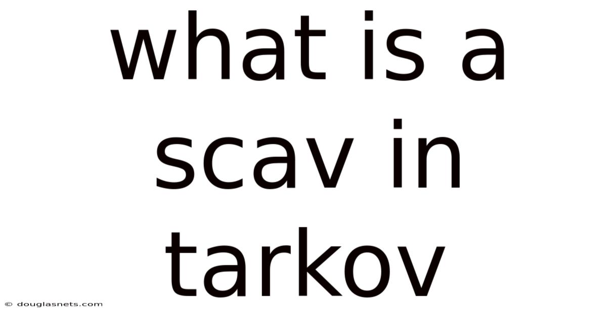 What Is A Scav In Tarkov