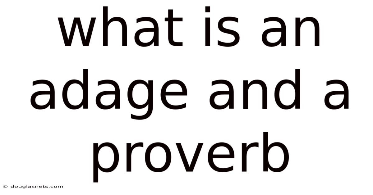 What Is An Adage And A Proverb
