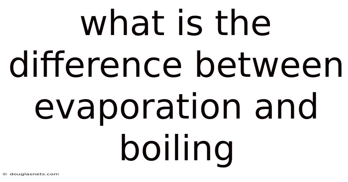 What Is The Difference Between Evaporation And Boiling