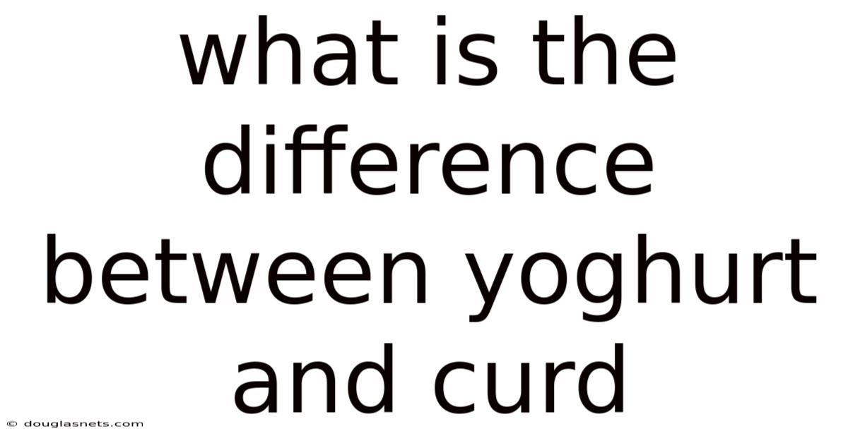 What Is The Difference Between Yoghurt And Curd