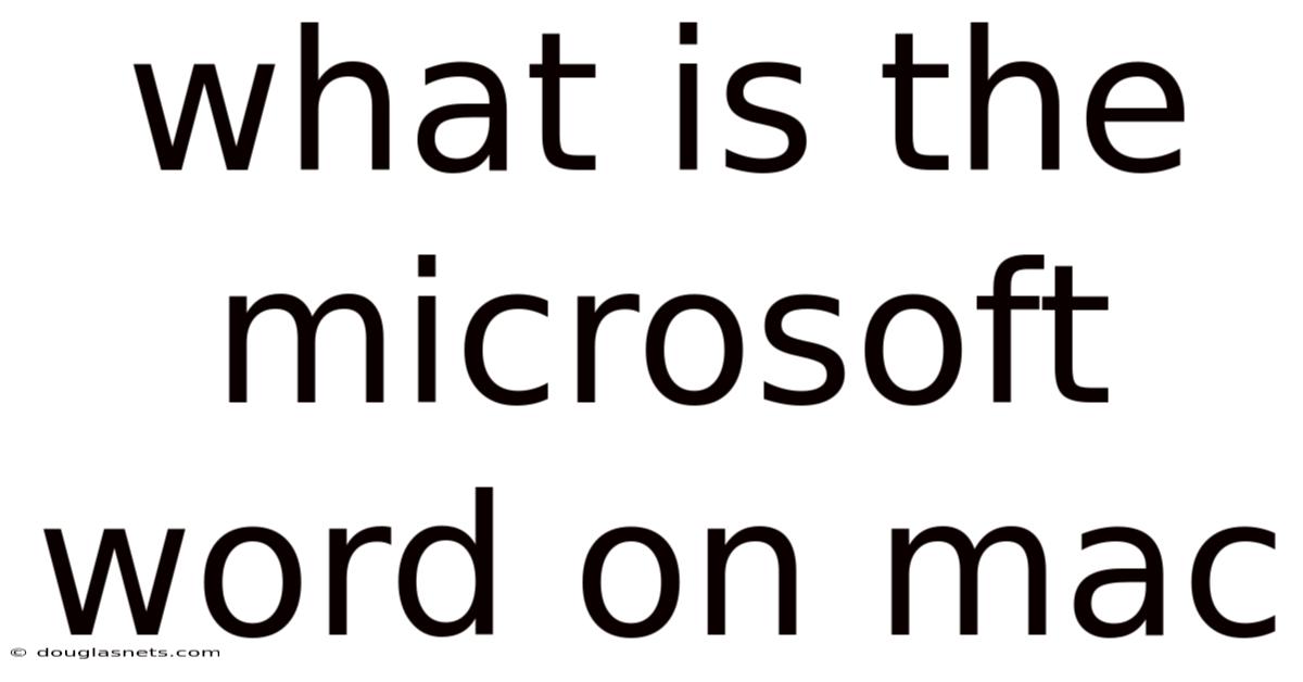 What Is The Microsoft Word On Mac