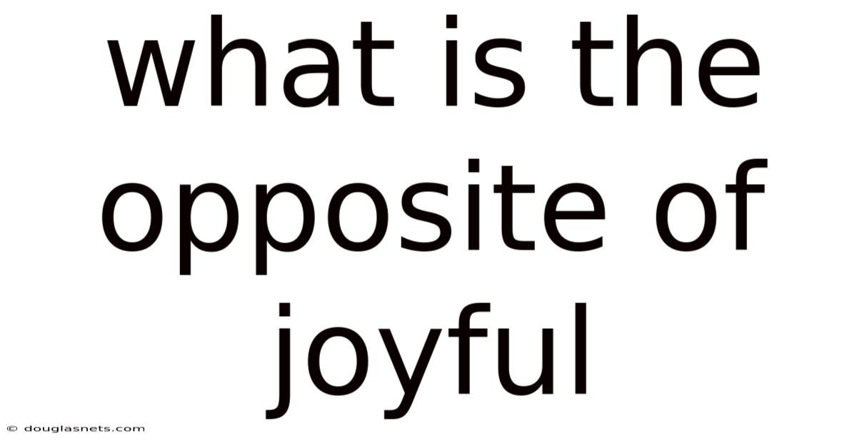 What Is The Opposite Of Joyful