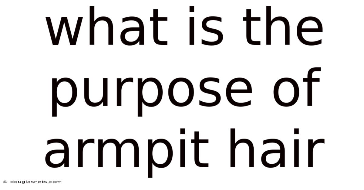 What Is The Purpose Of Armpit Hair