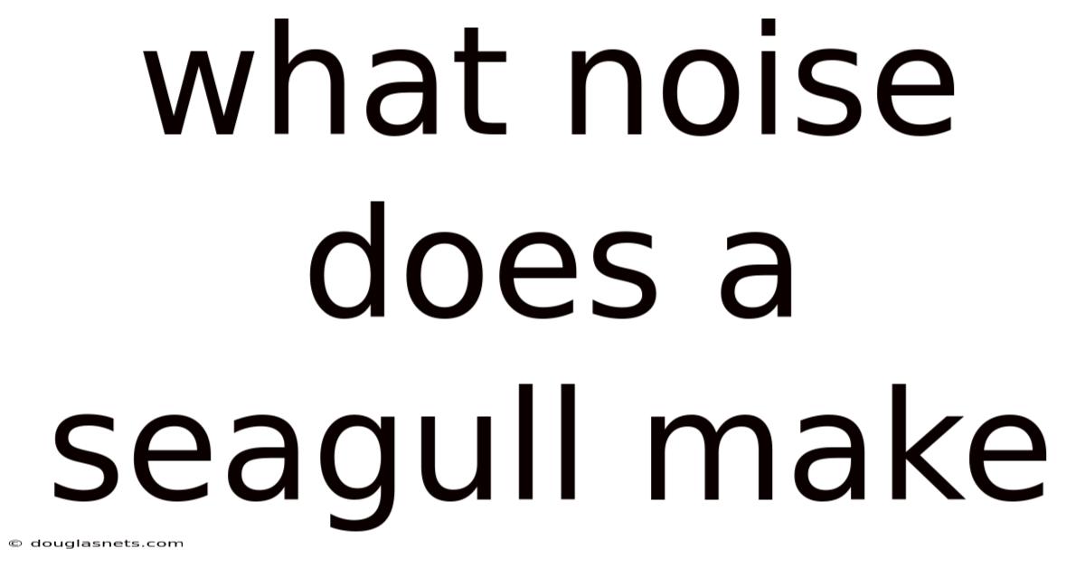What Noise Does A Seagull Make