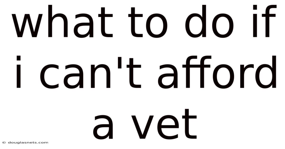 What To Do If I Can't Afford A Vet