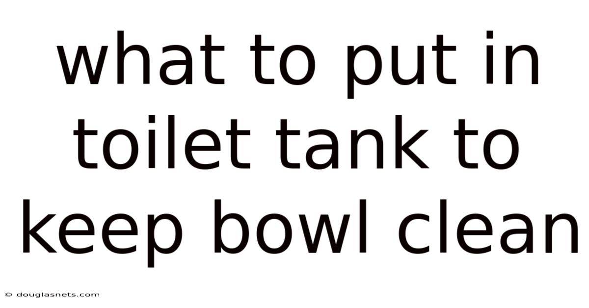 What To Put In Toilet Tank To Keep Bowl Clean