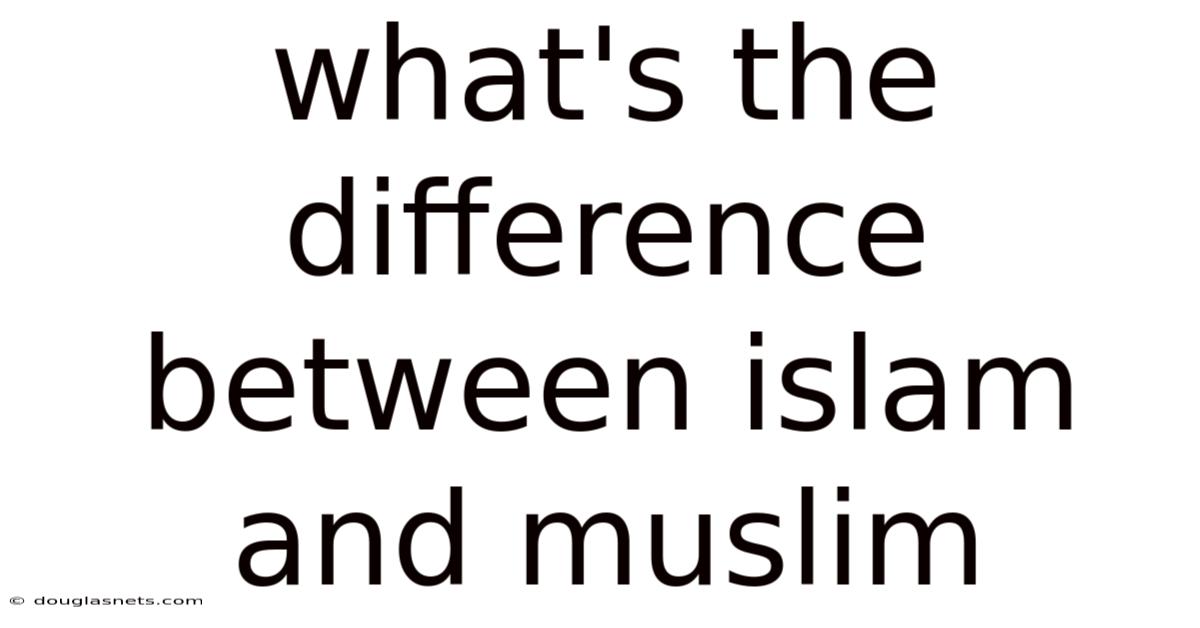 What's The Difference Between Islam And Muslim