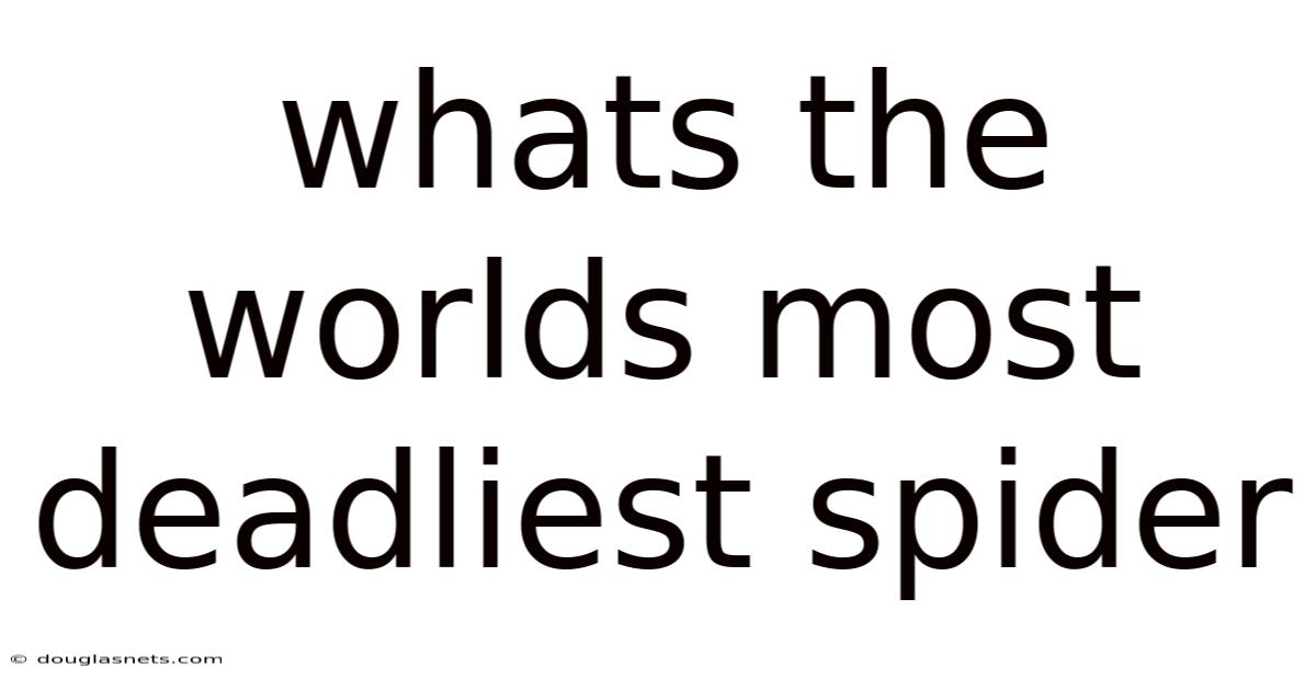 Whats The Worlds Most Deadliest Spider