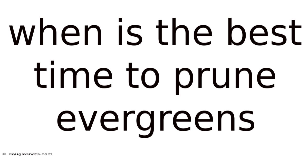When Is The Best Time To Prune Evergreens