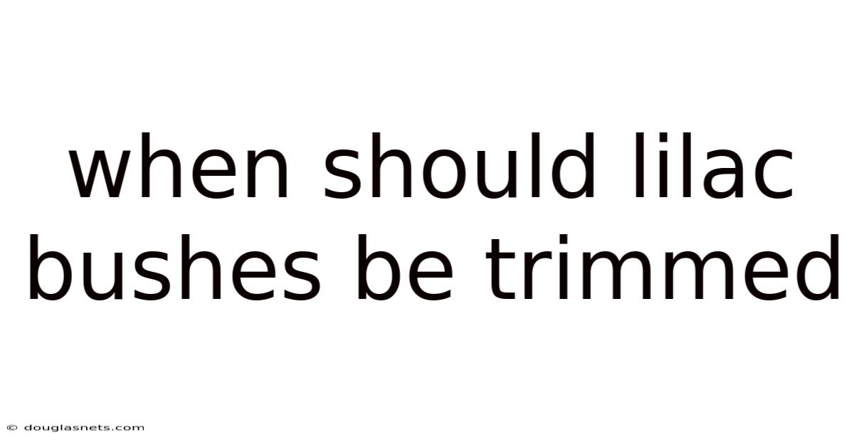 When Should Lilac Bushes Be Trimmed