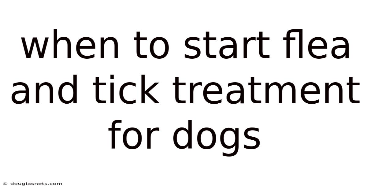 When To Start Flea And Tick Treatment For Dogs