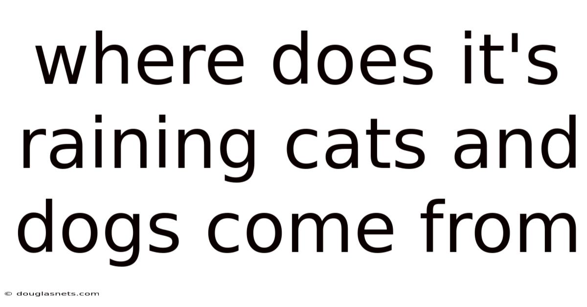Where Does It's Raining Cats And Dogs Come From