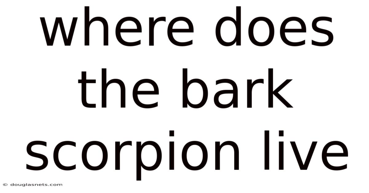 Where Does The Bark Scorpion Live