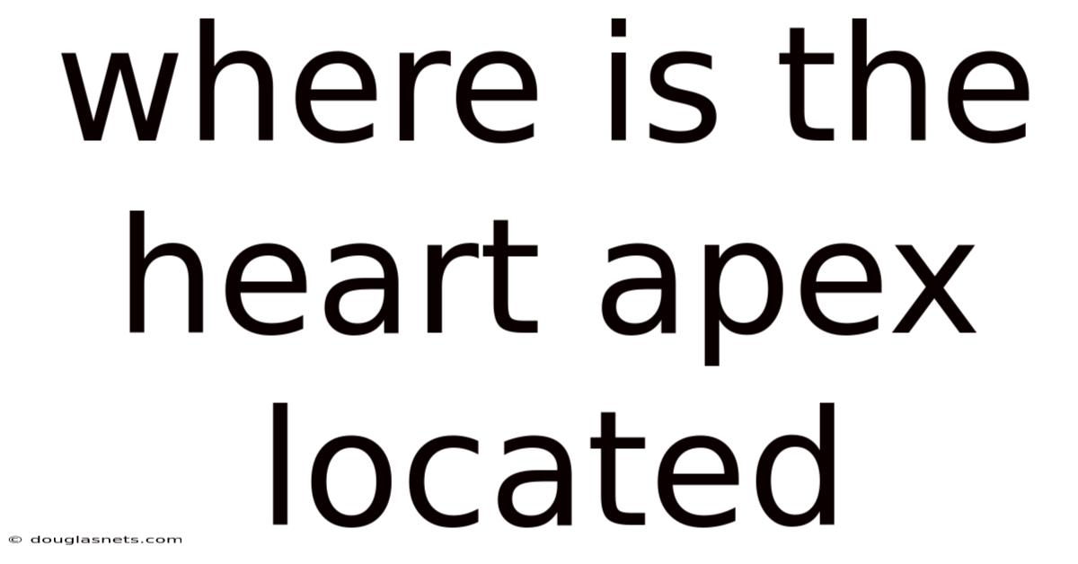 Where Is The Heart Apex Located