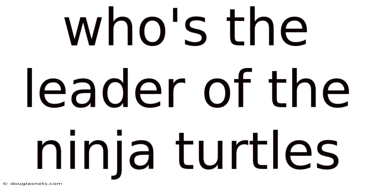 Who's The Leader Of The Ninja Turtles