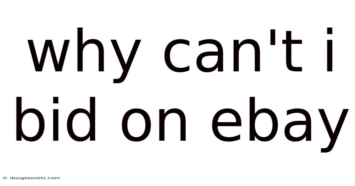 Why Can't I Bid On Ebay