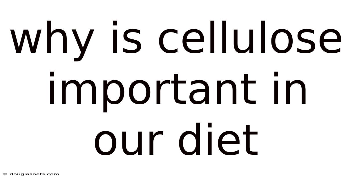 Why Is Cellulose Important In Our Diet